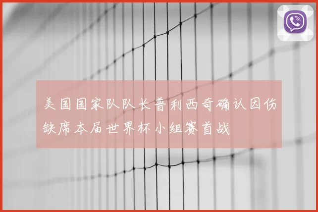 美国国家队队长普利西奇确认因伤缺席本届世界杯小组赛首战