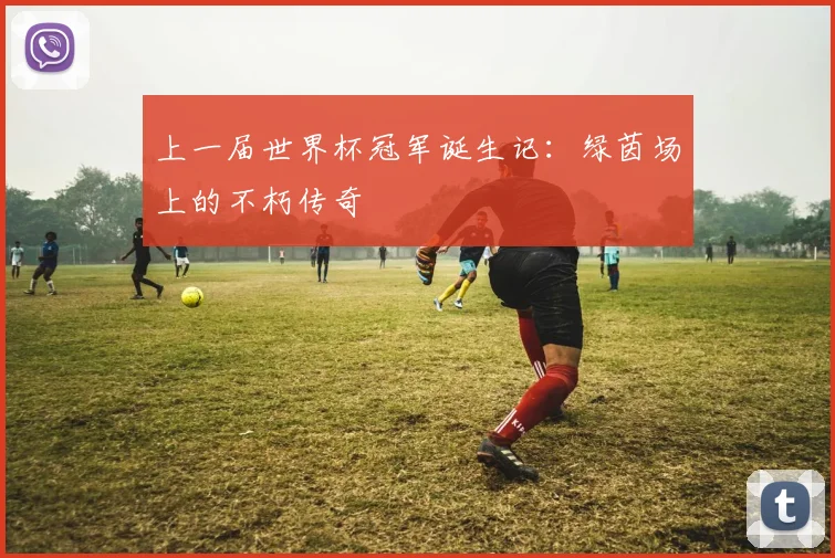 上一届世界杯冠军诞生记：绿茵场上的不朽传奇